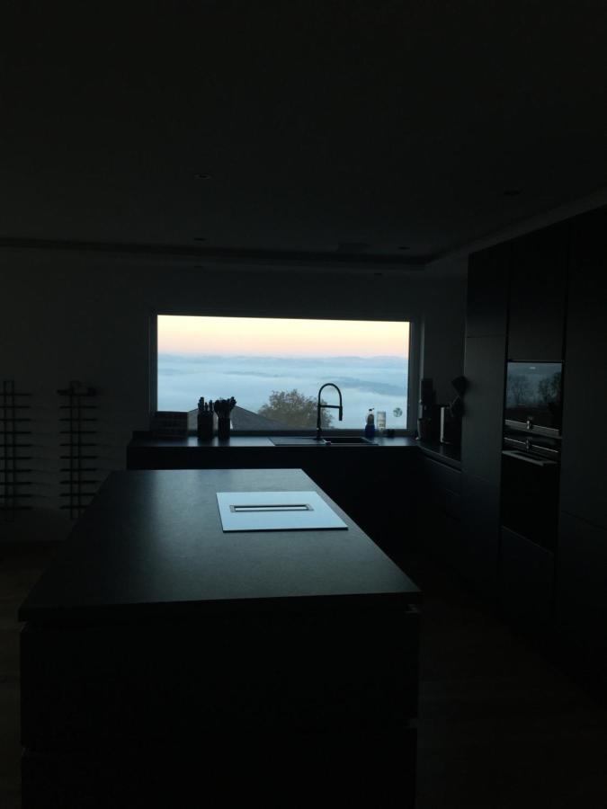Moderne Villa Mit Whirlpool Und Heimkino ヴァルトキルヒェン エクステリア 写真